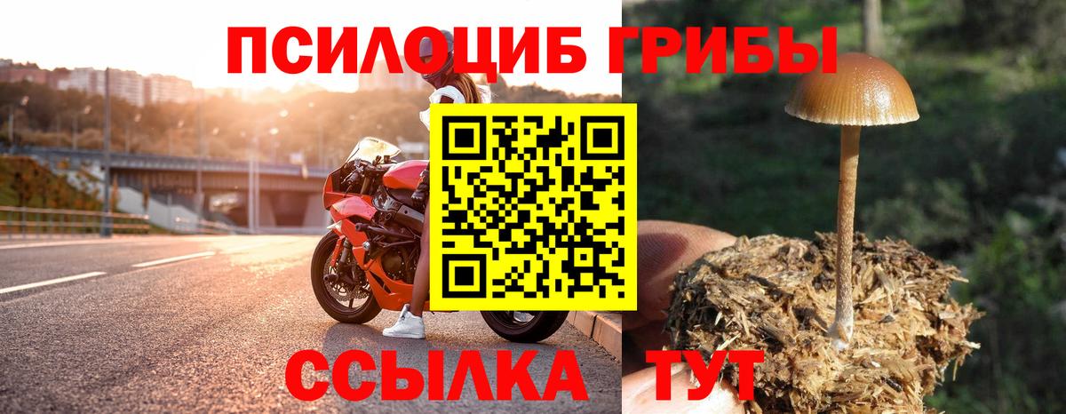 Галлюциногенные грибы ЛСД  Вход с VPN  наркотики  Благовещенск 